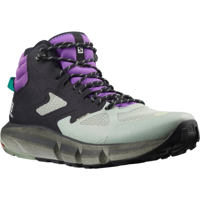 Botas Caminhada Salomon Predict Hike Mid GTX Masculino Multicoloridas | PT M61793